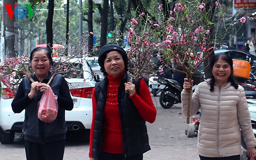 Peach trees in full bloom for Tet - ảnh 9